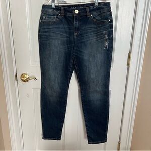 NWT Womens INC International Concepts INCESSENTIAL Skinny Jeans Size 12 Regular